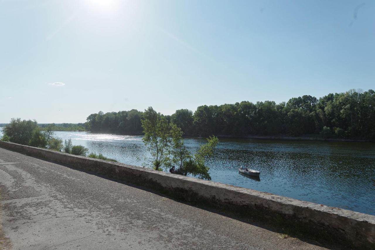 מלון Saint-Dyé-sur-Loire La Boisselee מראה חיצוני תמונה