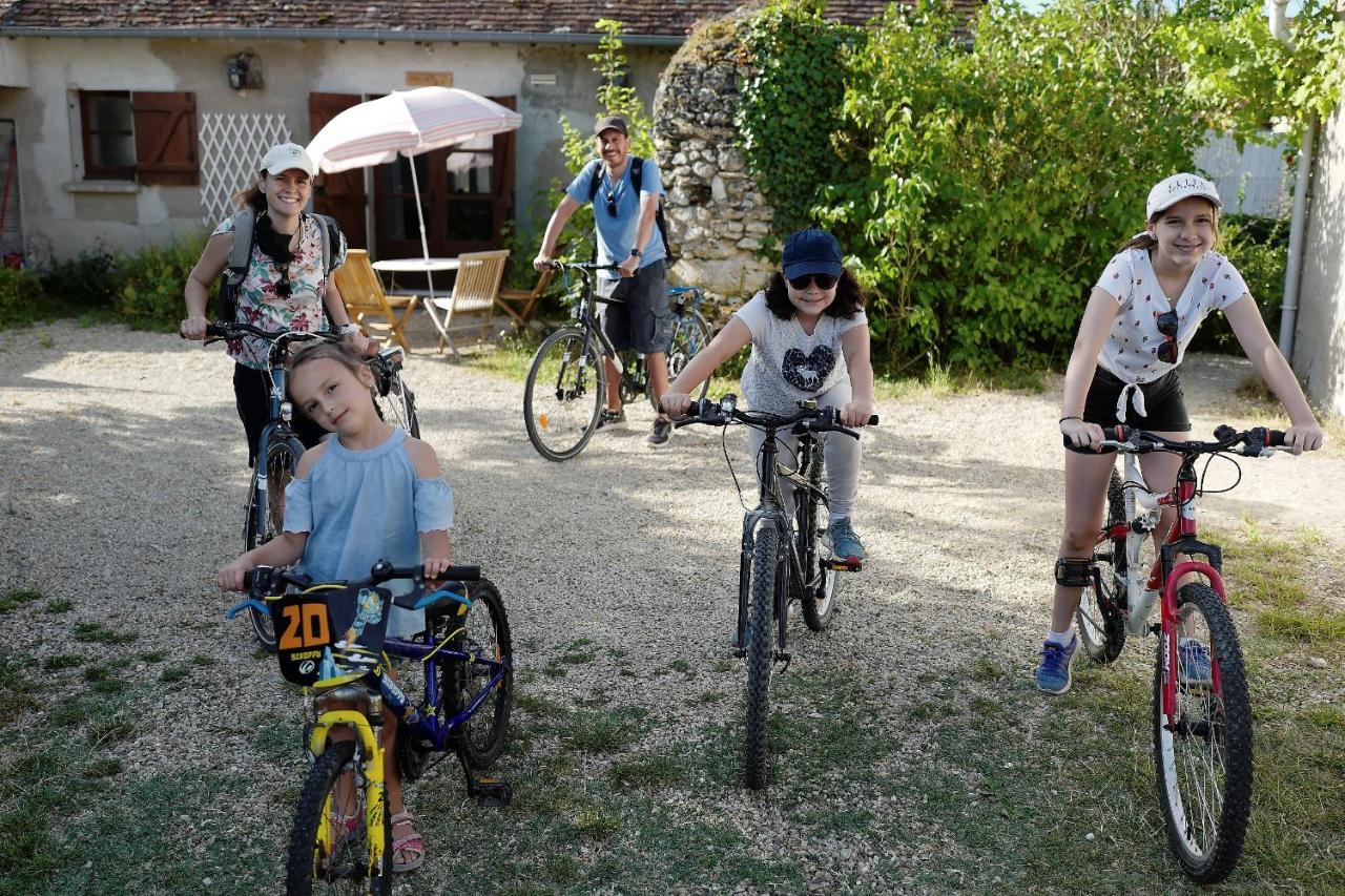 מלון Saint-Dyé-sur-Loire La Boisselee מראה חיצוני תמונה